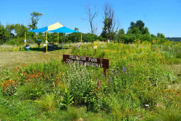 NU dedicates parkland Pollinator Park expansion